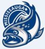 Mississauga Steelheads Summer Hockey Camp